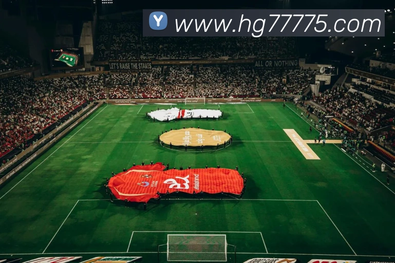 体育赛事